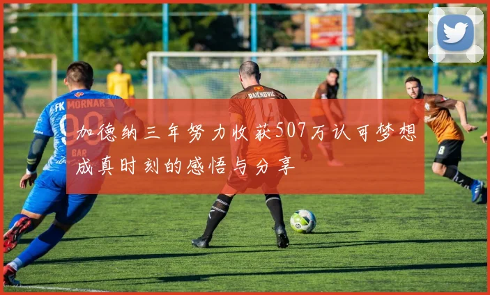 加德纳三年努力收获507万认可梦想成真时刻的感悟与分享