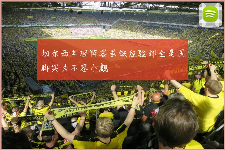 切尔西年轻阵容虽缺经验却全是国脚实力不容小觑